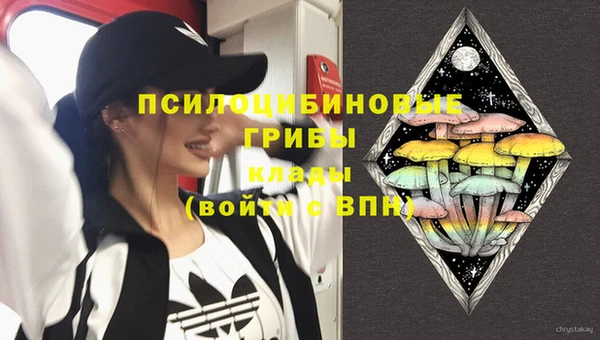 apvp Алексеевка