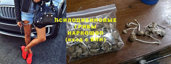 apvp Алексеевка
