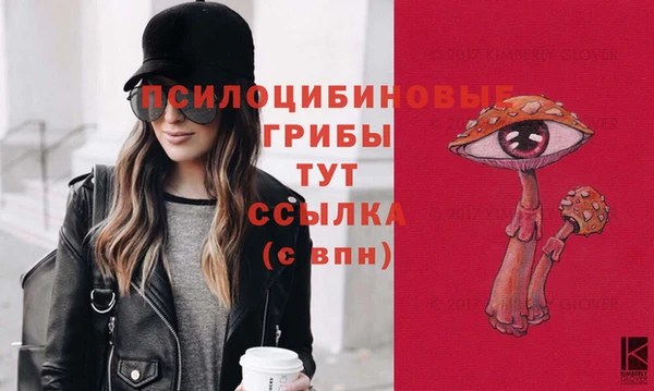 apvp Алексеевка