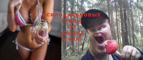 Альфа ПВП Алзамай