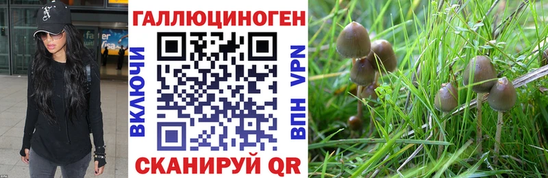 мега онион  сайты даркнета формула  Галлюциногенные грибы MAGIC MUSHROOMS  Лобня 