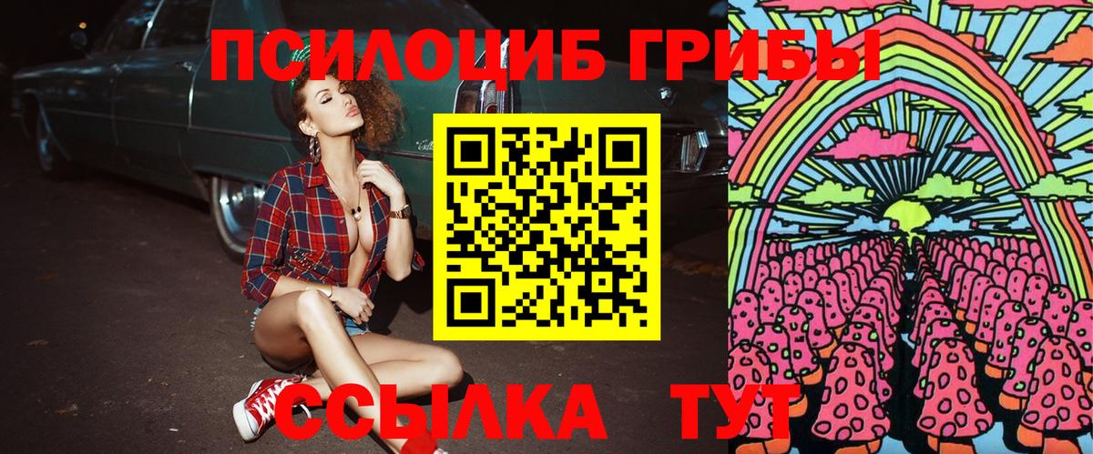 Псилоцибиновые грибы Psilocybine cubensis  Вход с VPN  Лобня 