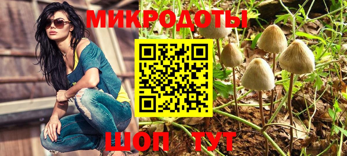Галлюциногенные грибы мухоморы Лобня